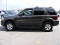 2006 Dark Stone Metallic Ford Escape XLS  photo #6