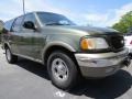 Estate Green Metallic - Expedition Eddie Bauer Photo No. 4