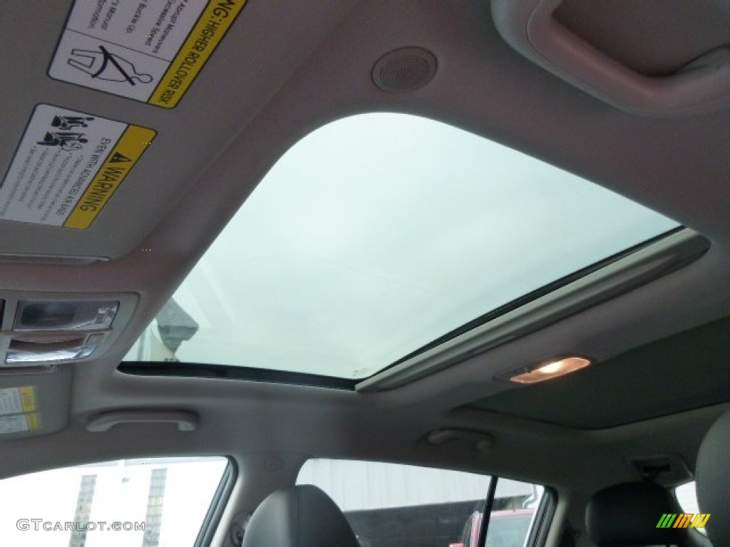 2014 Sportage EX AWD - Sage Green / Black photo #14
