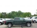 2014 Rainforest Green Metallic Chevrolet Silverado 1500 LT Crew Cab 4x4  photo #5