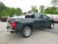 2014 Rainforest Green Metallic Chevrolet Silverado 1500 LT Crew Cab 4x4  photo #6