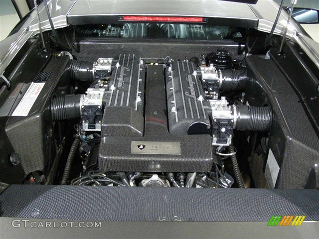 2004 Lamborghini Murcielago Coupe 6.2 Liter DOHC 48-Valve VVT V12 Engine Photo #94075