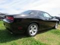 Black - Challenger SXT Photo No. 3
