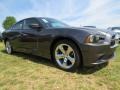 2014 Granite Crystal Metallic Dodge Charger SE  photo #4