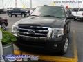Carbon Metallic - Expedition XLT Photo No. 2