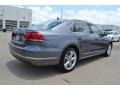 Platinum Gray Metallic - Passat TDI SE Photo No. 2