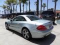 Brilliant Silver Metallic - SL 500 Roadster Photo No. 4