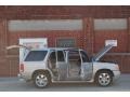 Quicksilver - Escalade AWD Photo No. 71
