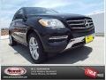 Black - ML 350 4Matic Photo No. 1