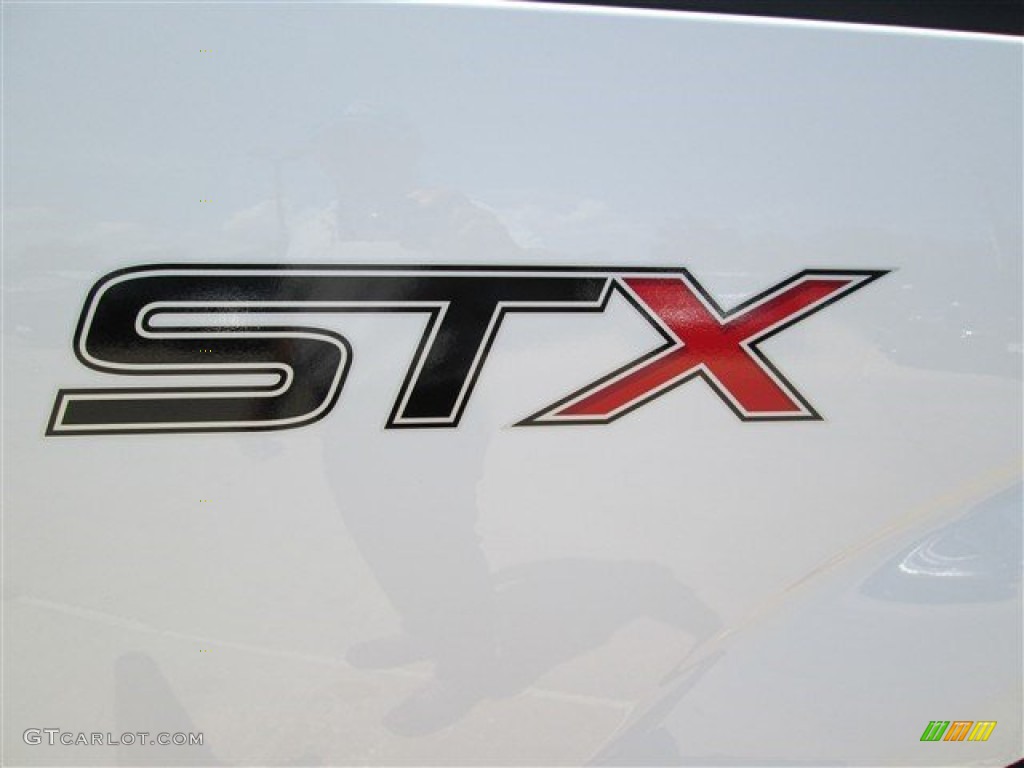 2014 F150 STX SuperCrew - Oxford White / Steel Grey photo #10