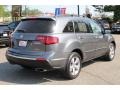 Polished Metal Metallic - MDX Technology Photo No. 3