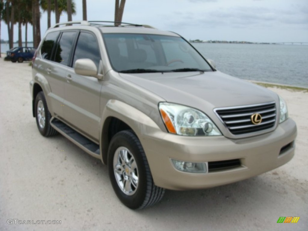 Dorado Gold Pearl Lexus GX