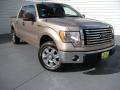 Pale Adobe Metallic - F150 XLT SuperCrew Photo No. 2