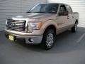 Pale Adobe Metallic - F150 XLT SuperCrew Photo No. 7