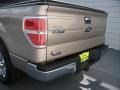 Pale Adobe Metallic - F150 XLT SuperCrew Photo No. 22