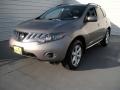 Platinum Graphite Metallic - Murano S Photo No. 7