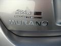 2009 Platinum Graphite Metallic Nissan Murano S  photo #19