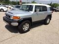 Titanium Metallic - FJ Cruiser 4WD Photo No. 1