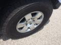 Titanium Metallic - FJ Cruiser 4WD Photo No. 15
