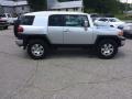 Titanium Metallic - FJ Cruiser 4WD Photo No. 30