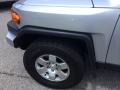 Titanium Metallic - FJ Cruiser 4WD Photo No. 34