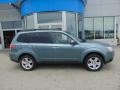 2009 Sage Green Metallic Subaru Forester 2.5 X Premium  photo #2