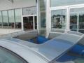 Medium Gray Metallic - Monte Carlo LS Photo No. 3