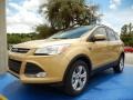 2014 Karat Gold Ford Escape SE 2.0L EcoBoost  photo #1