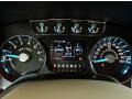 2014 Ford F150 King Ranch SuperCrew Gauges