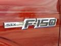 2014 Sunset Ford F150 STX SuperCrew  photo #5