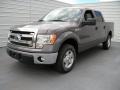2014 Sterling Grey Ford F150 XLT SuperCrew  photo #7