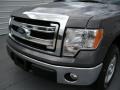2014 Sterling Grey Ford F150 XLT SuperCrew  photo #10