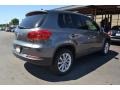 Pepper Gray Metallic - Tiguan SE Photo No. 2