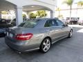 Palladium Silver Metallic - E 350 Sedan Photo No. 2