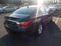 Pacific Blue Pearl - Sonata GLS Photo No. 7