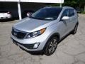 Bright Silver - Sportage EX AWD Photo No. 4