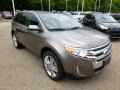 2014 Mineral Gray Ford Edge SEL AWD  photo #2