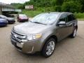 2014 Mineral Gray Ford Edge SEL AWD  photo #4