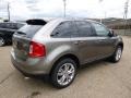 2014 Mineral Gray Ford Edge SEL AWD  photo #8