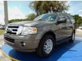 2013 Sterling Gray Ford Expedition XLT  photo #1