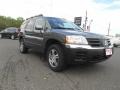 2004 Mineral Beige Pearl Mitsubishi Endeavor XLS AWD  photo #11