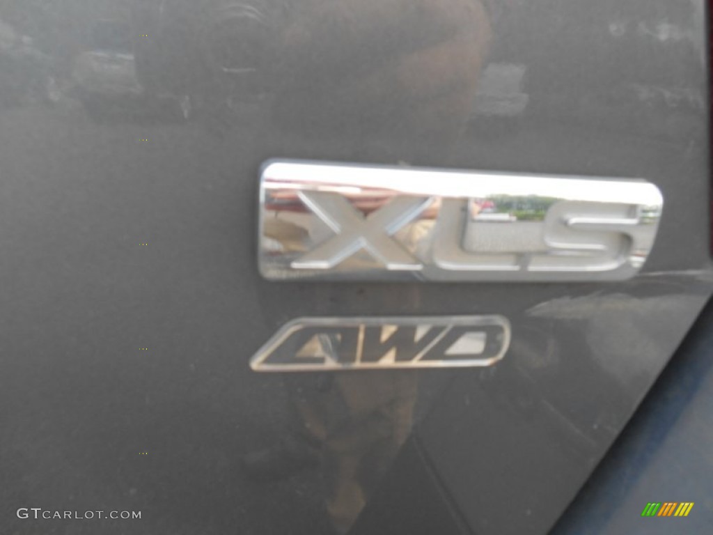 2004 Endeavor XLS AWD - Mineral Beige Pearl / Charcoal Gray photo #43