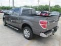 2014 Sterling Grey Ford F150 XLT SuperCrew  photo #5