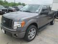 2014 Sterling Grey Ford F150 STX SuperCab  photo #3