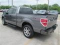 2014 Sterling Grey Ford F150 STX SuperCab  photo #5