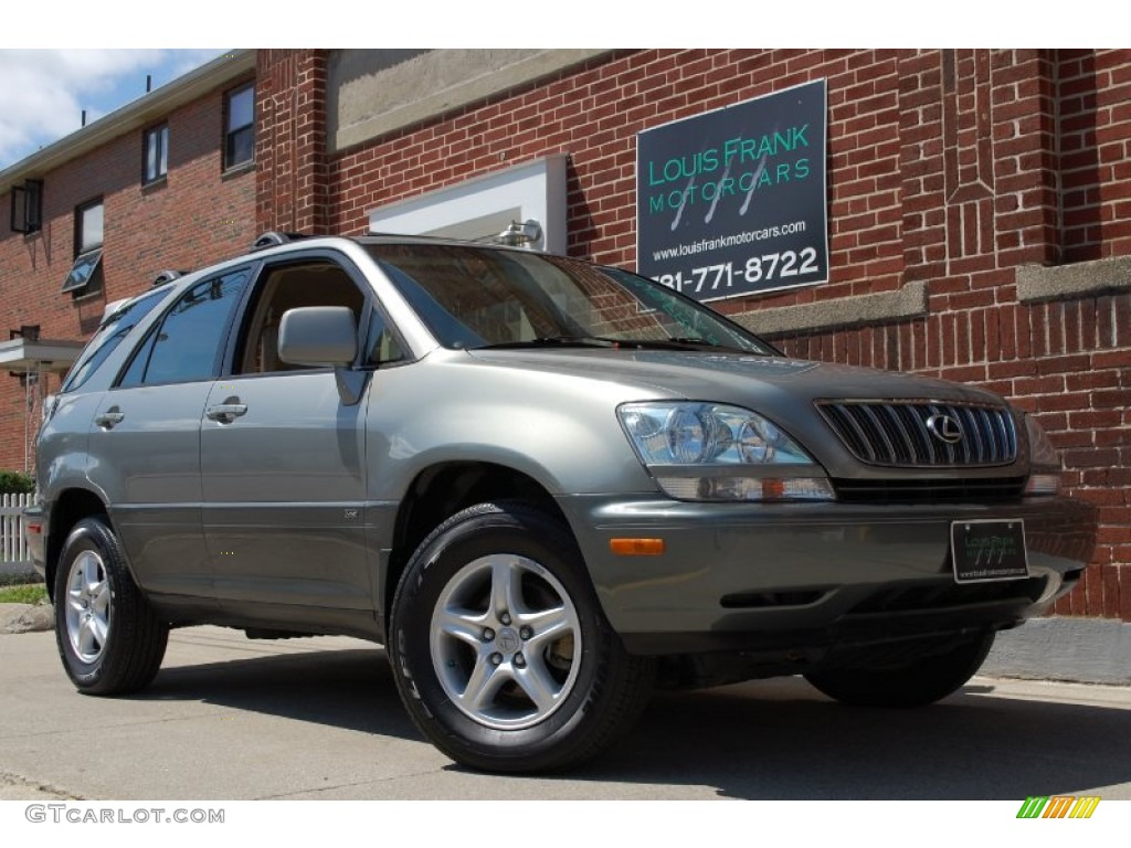 2001 RX 300 AWD - Mineral Green Metallic / Ivory photo #2