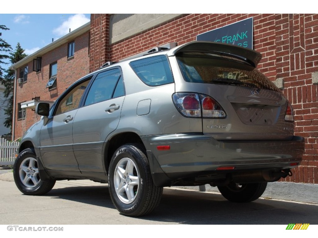 2001 RX 300 AWD - Mineral Green Metallic / Ivory photo #3