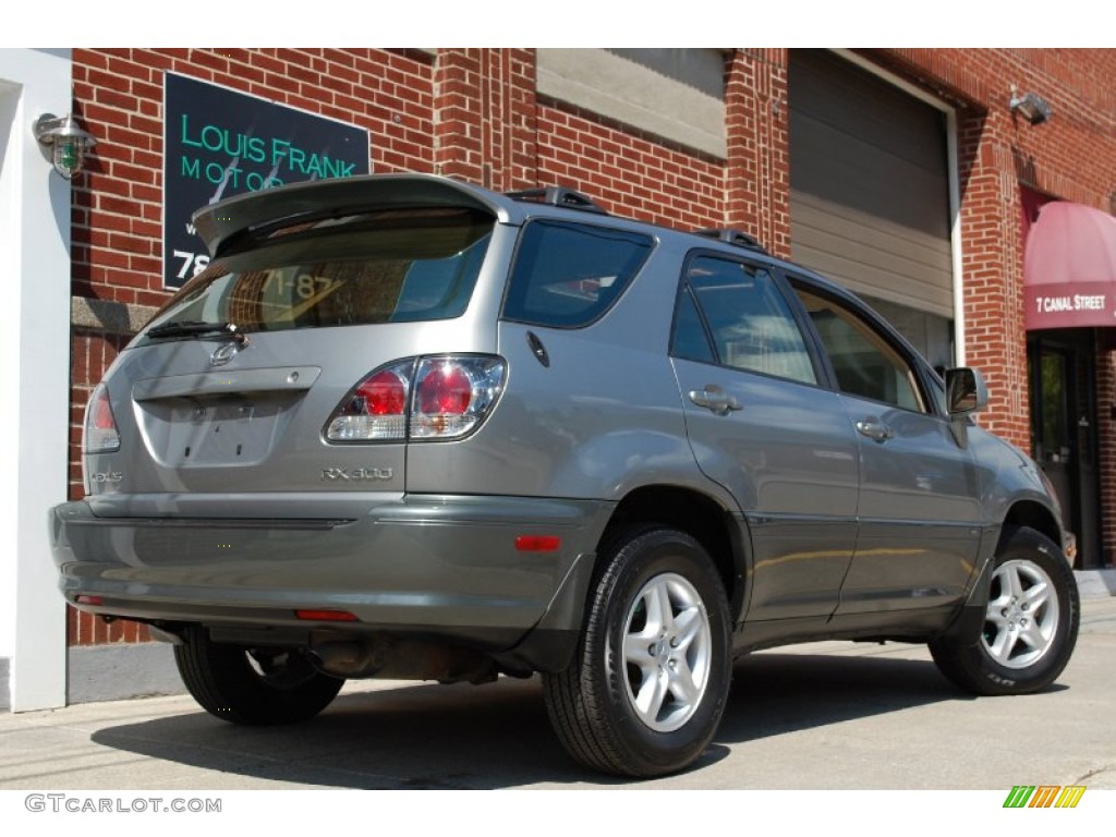 2001 RX 300 AWD - Mineral Green Metallic / Ivory photo #5