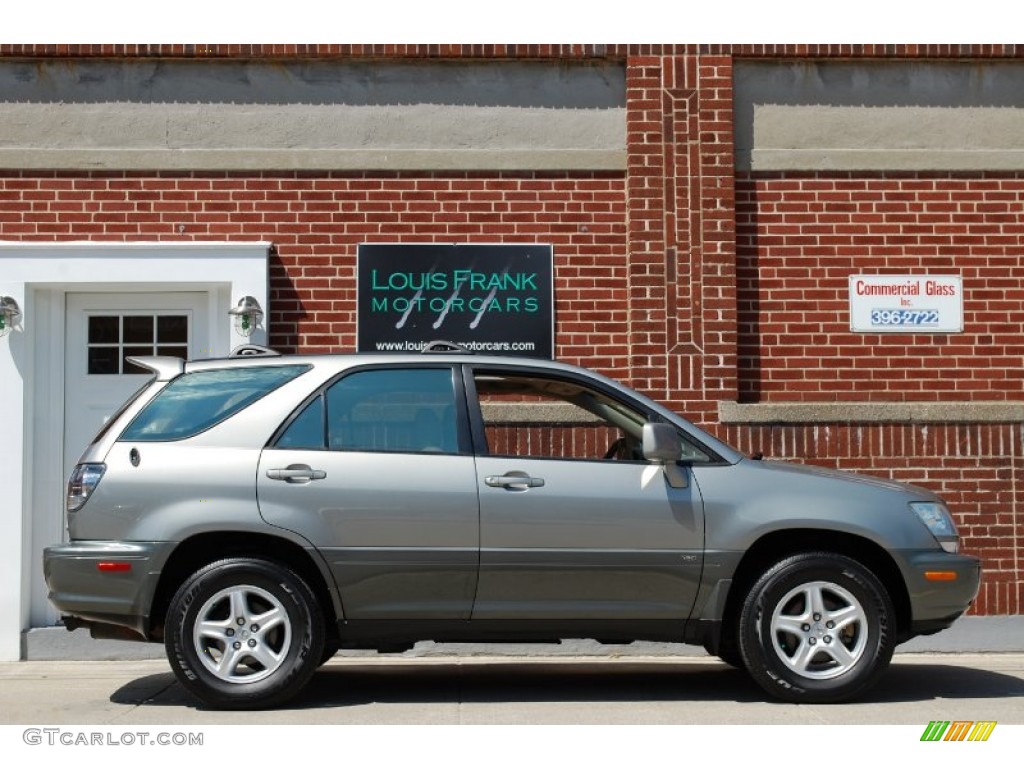 2001 RX 300 AWD - Mineral Green Metallic / Ivory photo #6