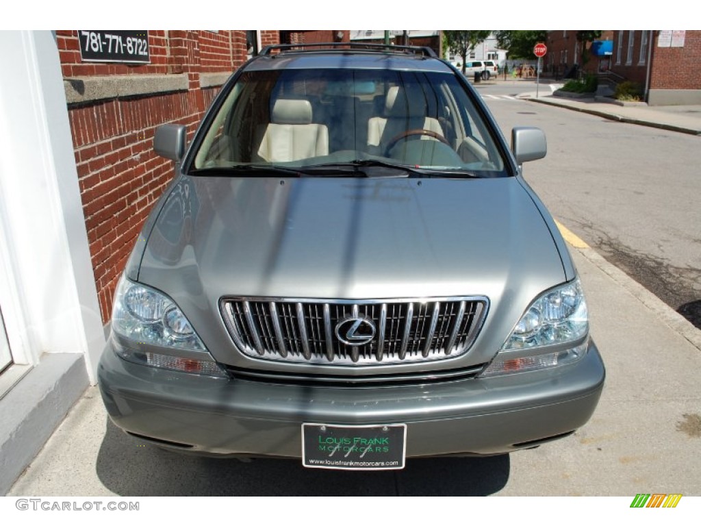 2001 RX 300 AWD - Mineral Green Metallic / Ivory photo #7